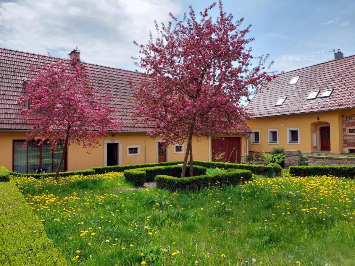 Martínkovice 玛迪讷科沃斯布劳莫夫201旅馆酒店 外观 照片